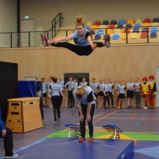 Almende college Ulft Wesenthorst circus